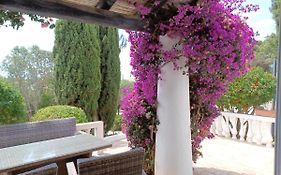 Quinta Do Paraiso - Casa Colynda